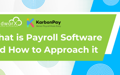Payroll Best Practices: What is Payroll Software and How to Approach it